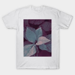 Photo of leaves in a blue and purple gradient T-Shirt